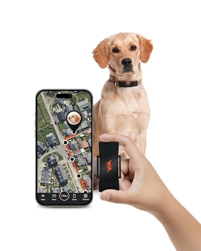 paj gps tracker hunde 4g mit weglaufalarm und live-ortung wasserdicht schwarz