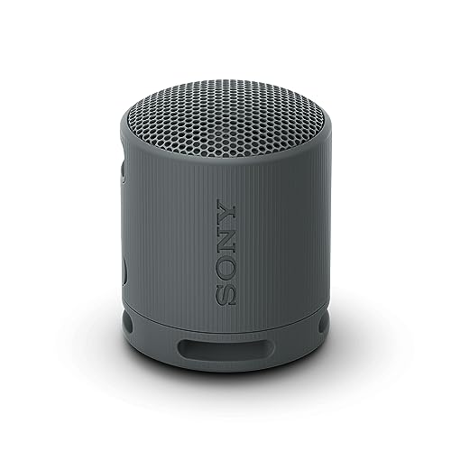 sony srs-xb100 bluetooth lautsprecher, tragbar, ip67, 16 stunden akku, schwarz