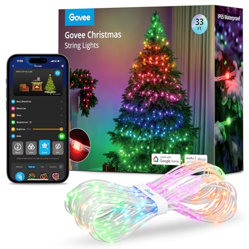 govee weihnachtsbeleuchtung außen 10m rgbic lichterkette 100 led ip65 alexa-kompatibel