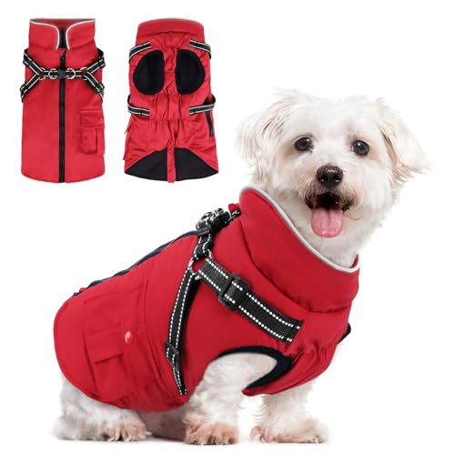 hundemantel wasserdicht für kleine hunde winter jacke mit geschirr reflektierend