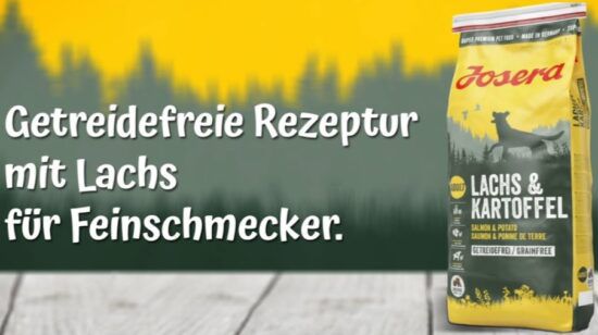 josera trockenfutter lachs und kartoffel 12,5kg für hunde ab 40,82