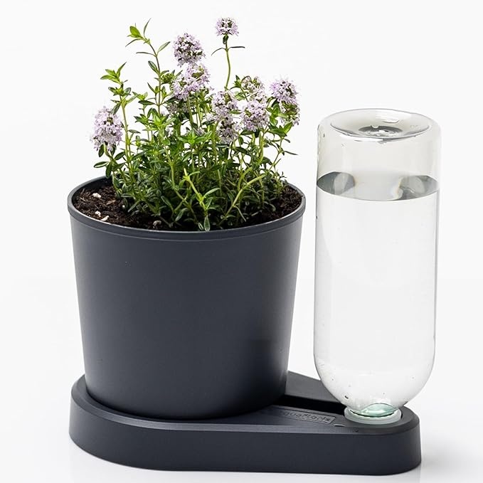 greevi kräuterheld selbstbewässernder pflanztopf küchenkräuter kunststoff anthrazit