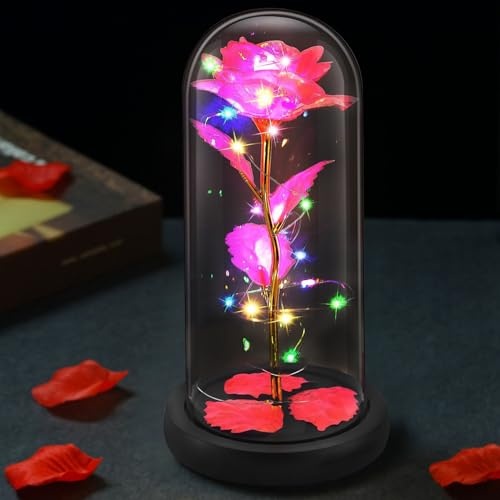 ewige rose im glas mit led licht, die schöne und das biest rose, geschenkbox für frauen, mama, jubiläum