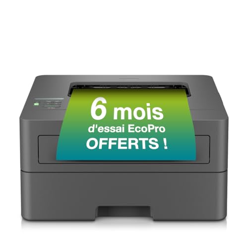 brother hl-l2400dw laserdrucker duplexfunktion, drucken, schwarzweiß