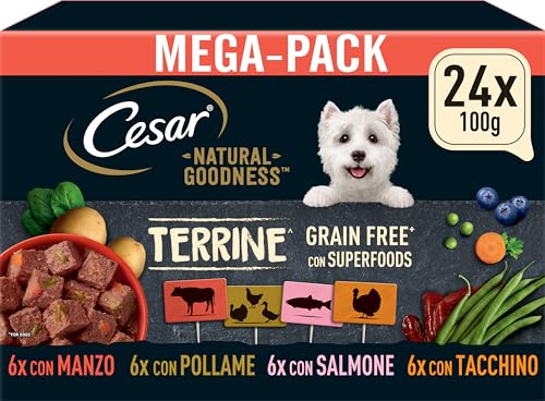 Produktbild: cesar hunde nassfutter getreidefrei mit superfoods 24x100g in 4 sorten