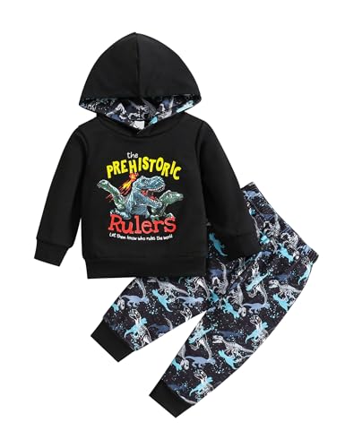 haokaini dinosaurier outfits für kleinkinder langarm kapuzenpullover und hosen 2pcs sets 1-5y