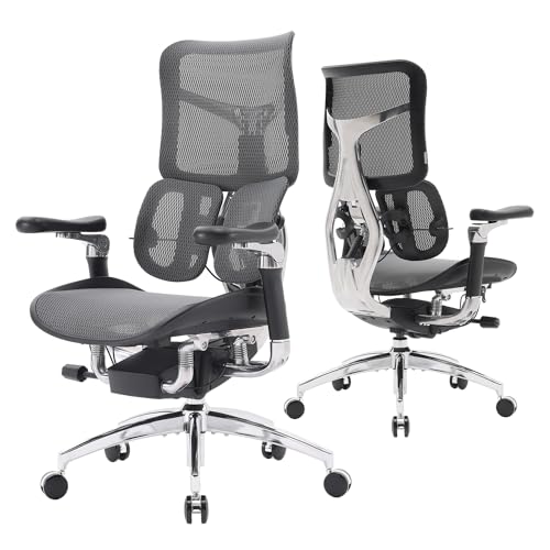 sihoo doro s300 ergonomischer bürostuhl mit verstellbarer rückenlehne