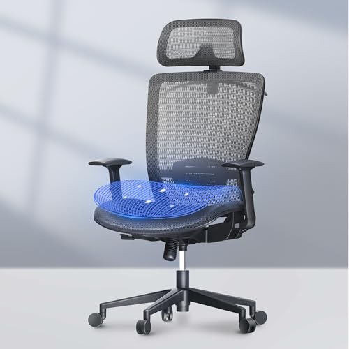 ergonomischer FLEXISPOT bürostuhl schwarz-grau, schreibtischstuhl, computerstuhl 99,99