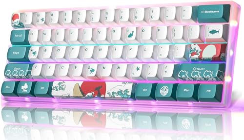 mechanische gaming tastatur 60 % mit roten schaltern, MIHIYIRY 61 tasten RGB wired für WIN/Mac/PC
