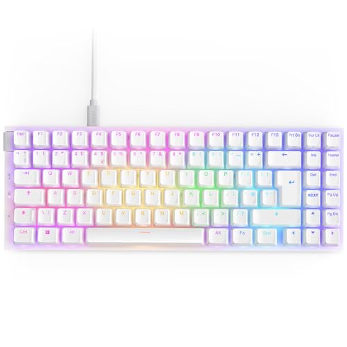 nzxt function 2 minitkl tastatur 2024 qwerty layout, preisfehler, amazon dynamic pricing