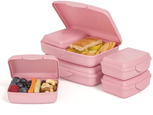 brotdosen set flach hausfelder  brotdose für schule und büro mit fächern, rosenpink, 6er set