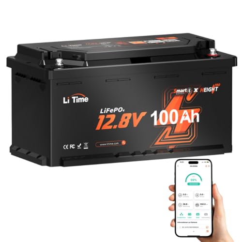 lifepo4 batterie 12v 100ah von litime, lithium akku für solar und wohnmobile