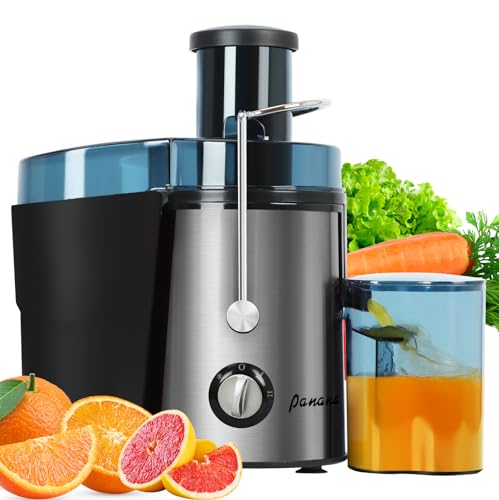 Entsafter für Obst und Gemüse, Panana Edelstahl, 1000 W, 2 Geschwindigkeitsstufen, BPA-frei