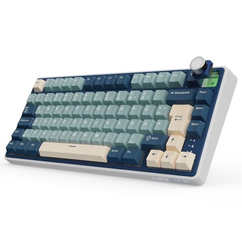 mechanische tastatur rk royal kludge r75 kabellos schwarz