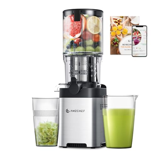 amzchef entsafter slow juicer mit 2 schnecken und 2 liter kapazität silber