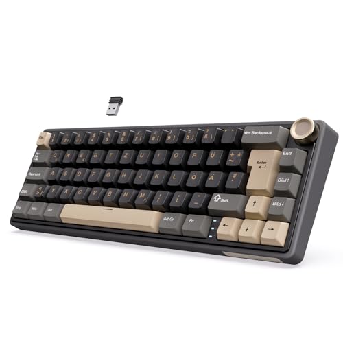 rk royal kludge r65 mechanische tastatur 60% kabellos rgb hot swap linear switches