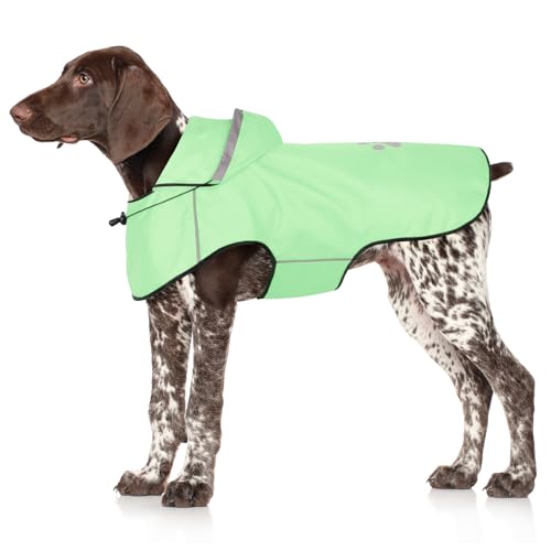 Hunderegenmantel Wasserdicht für Große Hunde, Verstellbare Kapuze, Reflektierend (L | Mint)
