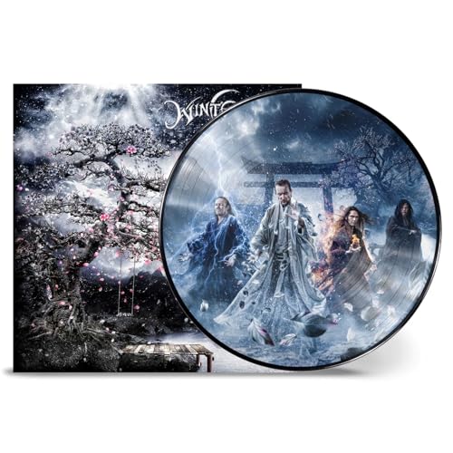 wintersun - time ii picture vinyl lp, schallplatte, musik, vinyl