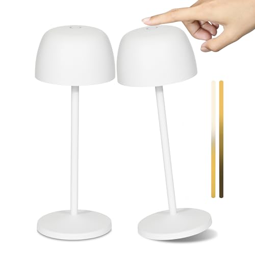 dimmable led lampe 2 von black & woods, flexible lichtsteuerung