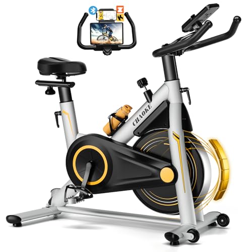 heimtrainer fahrrad chaoke 2025 mit app, ultra-leiser erognometer bis 160kg