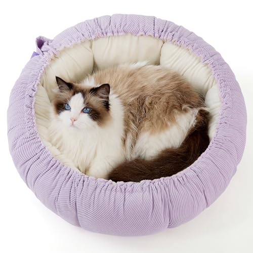 lesure katzenbett waschbar 2 in 1 katzenbett 63x63x20cm lila mit kissen für katzen hunde