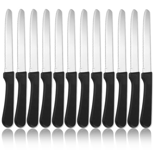 steakmesser set 12er von reanea, edelstahl, gezackte steakmesser für zuhause, outdoor, partys