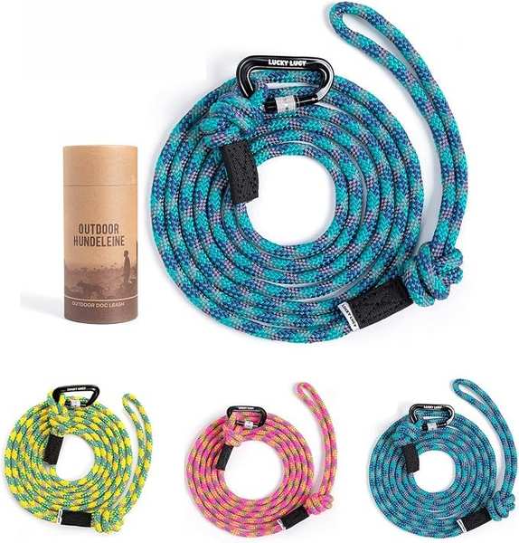 Reflektierende Hundeleine 3m Nylon für mittel & große Hunde, reißfest Seeblau