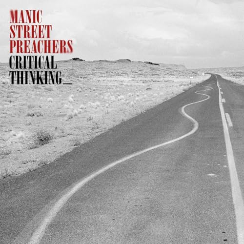 manic street preachers - critical thinking picture disc exklusiv amazon