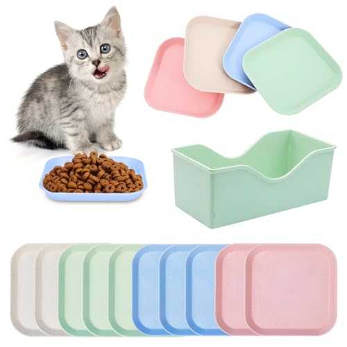 katzennapf flach quadrat 10 stück bunt katzenfutter napfset mit aufbewahrung