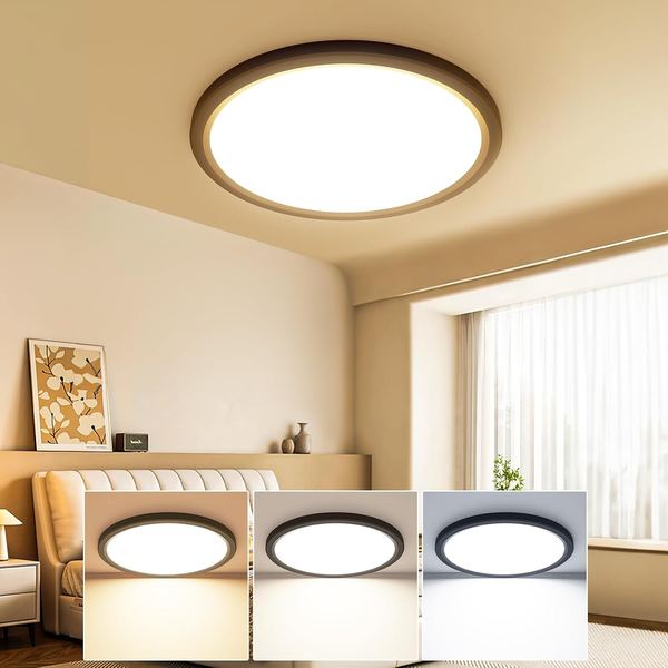 slochi Deckenlampe LED Flach 22CM 18W 3 Farben Schwarz