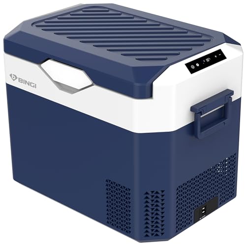 BINGI kompressor kühlbox 12V 24V DC 110-240V tragbare gefrierbox für auto camping