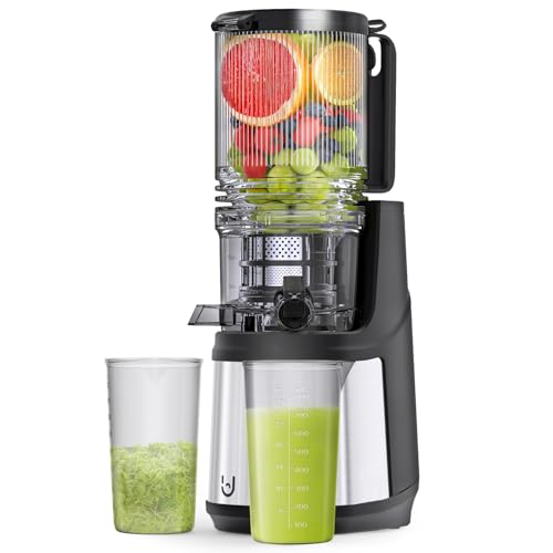 Kauen entsafter 350W kaltpress entsafter für ganzes obst und gemüse mit großer rutsche