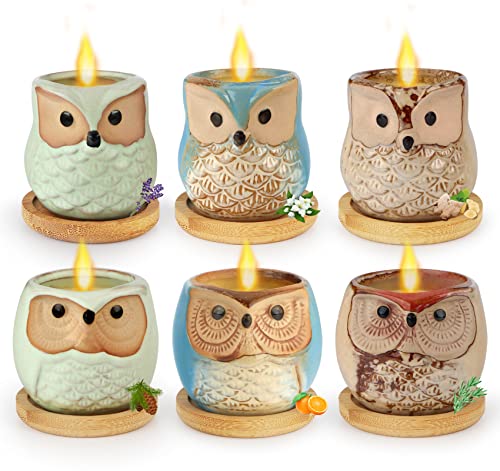 set of 6 owl scented candles, hand poured natural soy wax, gifts for women