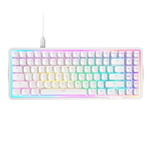 nzxt function elite minitkl gaming tastatur, hall effect schalter, 8k, qwertz, weiß schwarz