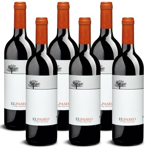 spanischer rotwein trocken delinat el paseo 2022 bio vegan navarra 6 x 0,75l
