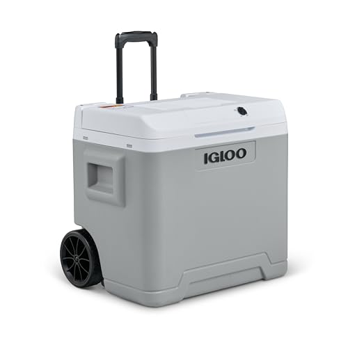 IGLOO IE42 AC/DC Kühlbox 42L, Mini-Kühlschrank 12V/230V mit Griff und Rollen