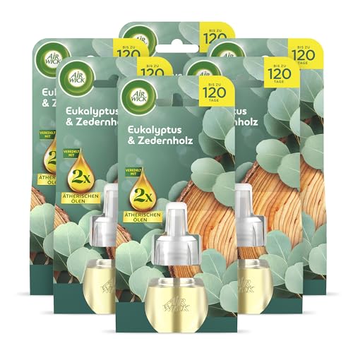 air wick nachfüller eukalyptus zedernholz Duftstecker 6x 19ml Raumduft