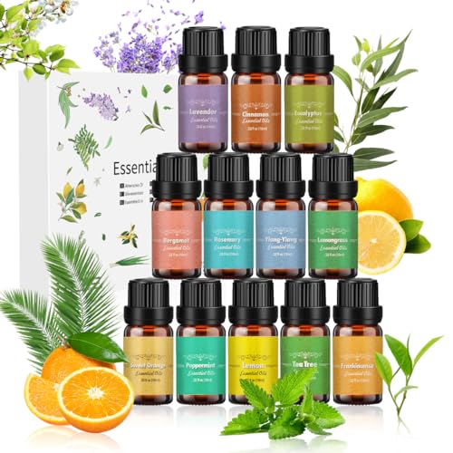 ätherische öle set 12 x 10 ml naturreines duftöl für diffuser und luftbefeuchter, rosmarin, weihrauch, ylang-ylang, bergamotte, eukalyptus