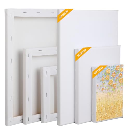 Produktbild: leinwand set zum bemalen, 6-teiliges canvas für acryl-, öl- und gouachemalerei