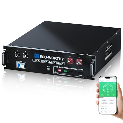 lifepo4 48v 100ah lithium batterie mit bluetooth 100a bms, 5.12kwh eco-worthy
