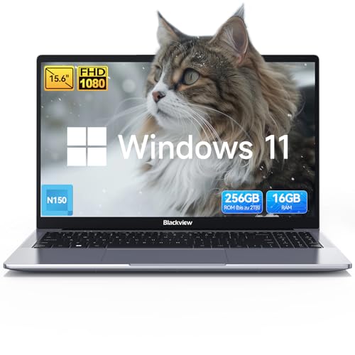 blackview acebook 6 laptop 15,6 zoll fhd ips, n150, 16gb ram, 256gb ssd, wlan, windows 11