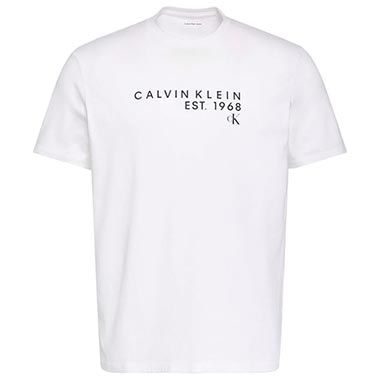 Calvin Klein Graphic Tee T-Shirt 30s Eu Wholesale für 20,31