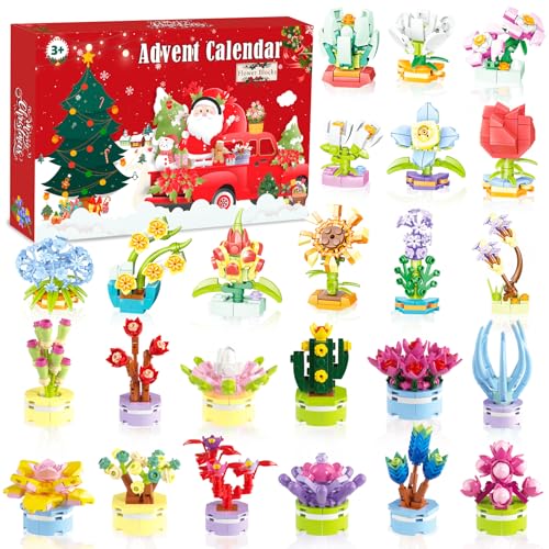 adventskalender 2025 für mädchen mit geschenken, 24 tage, sukkulenten und blumen