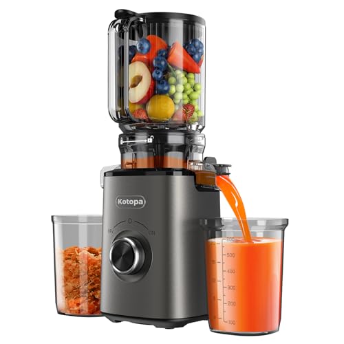 entsafter für obst und gemüse, slow juicer mit xl-einfüllschacht, 600 ml, grau