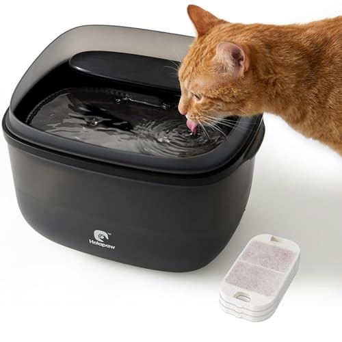 HOLAPAW Katzenbrunnen 3,78L - Wasserbrunnen mit Anti-Spill Guard, Schwarz