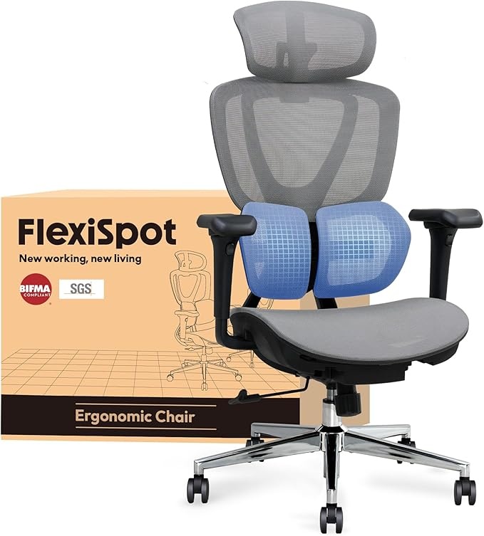 Flexispot DualFlex Ergo Bürostuhl mit Dual-Wing Lendenstütze Grau, 3D-Kopfstütze