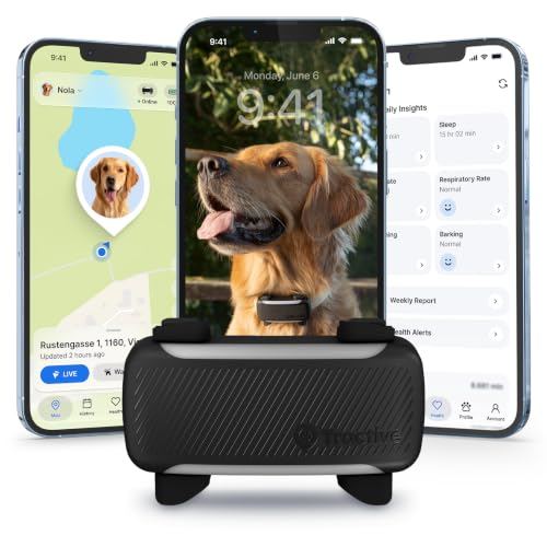 Tractive XL Hunde GPS Tracker 2026 | Live-Ortung, Weglaufalarm, Gesundheitswarnungen