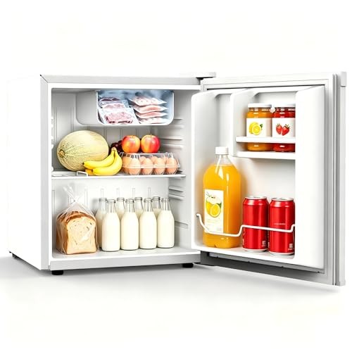 46L Mini Kühlschrank - Kompakt, Energieeffizient, Kühlraum