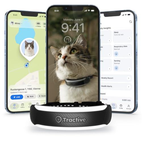 Katzen GPS Tracker Mini Tractive Modell 2026