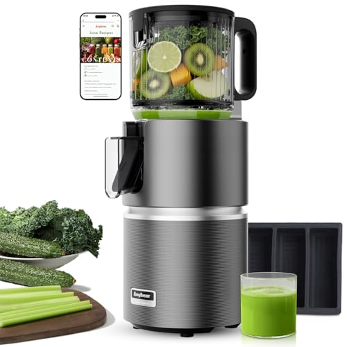 Anybear 350W Slow Juicer mit 124 mm Einfüllschacht - Doppel-Zerkleinerung, Grau